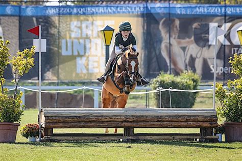 Federazione Italiana Sport Equestri Modifica Regolamento Scuole Federali Di Sport Equestri