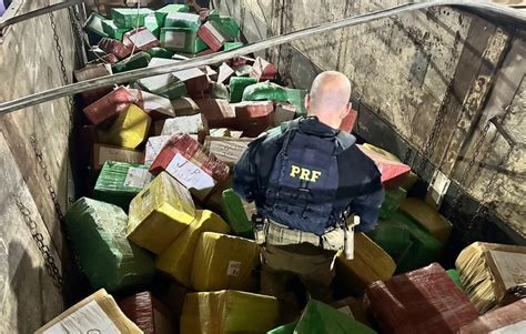 No Paran Prf Realiza A Maior Apreens O De Maconha Do Ano No Brasil