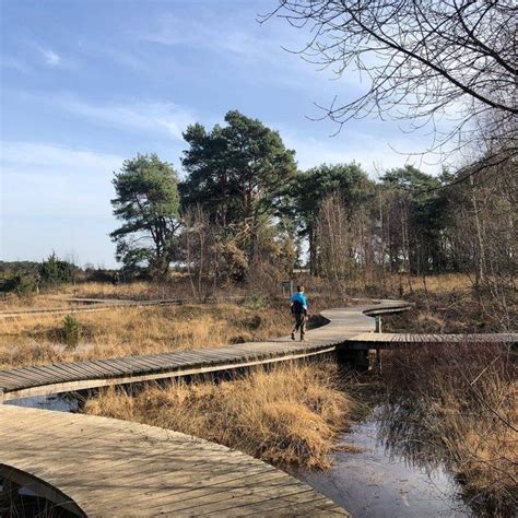 Wandelen Over De Mooiste Vlonderpaden In Noord Brabant Artofit