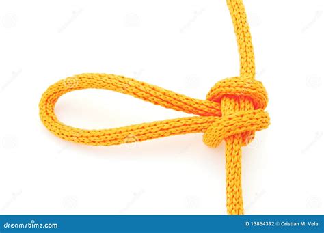 Alpine butterfly knot stock photo. Image of hold, knot - 13864392