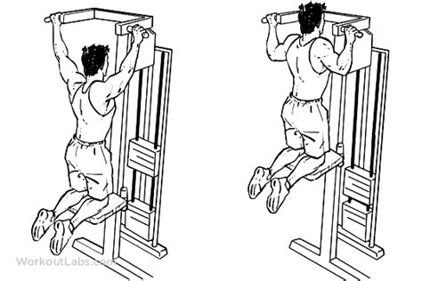 Back Day Machine Assisted Pull Ups Pullups 20reps X 4sets Assisted