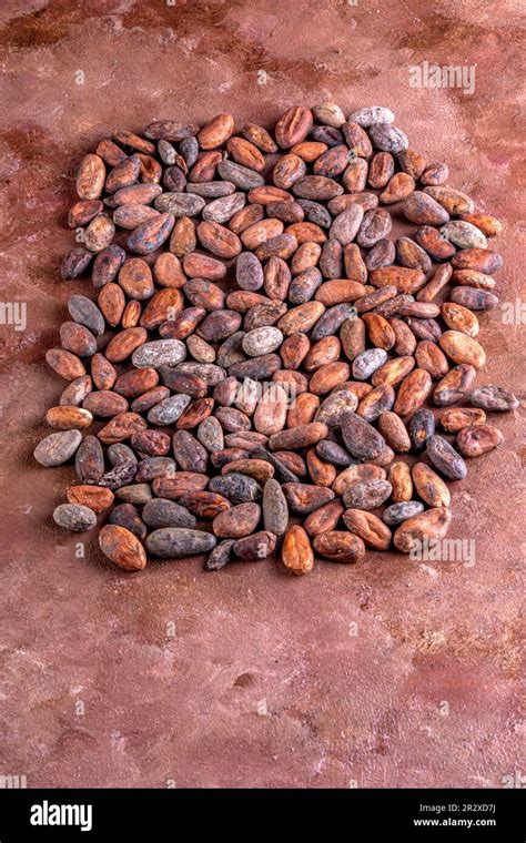 Toasted Cocoa Beans Spread On A Brown Background Studio Photograph