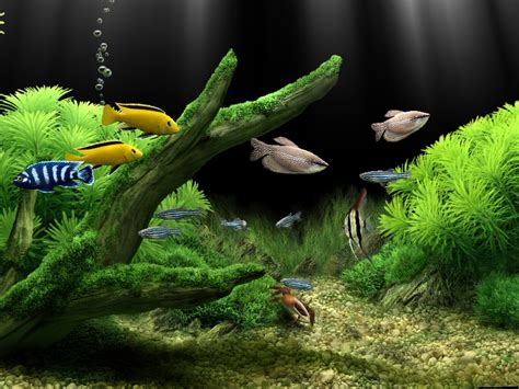 Codename: Huggs: SOFTWARE: Dream Aquarium Screensaver 1.24