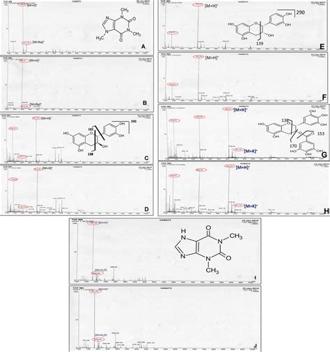 Comparative Positive Mode Electrospray Ionization Esi Mass Spectra Download Scientific