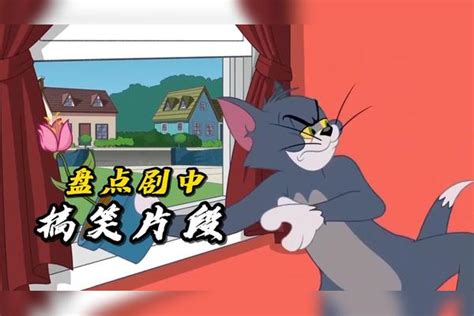 猫和老鼠：盘点剧中搞笑片段，汤姆惨遭戏弄竟吓破胆，真令人搞笑 汤姆 片段 真令人