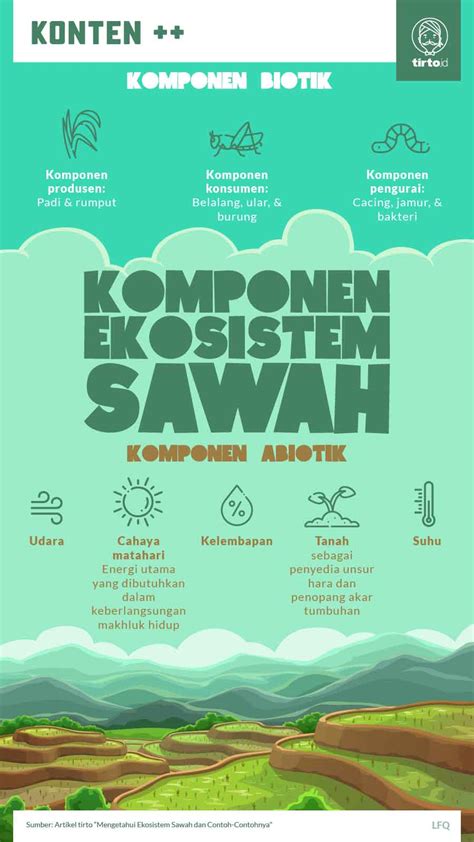 Mengetahui Ekosistem Sawah dan Contoh-Contohnya