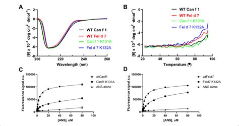 ANS Binding To Can F 1 And Fel D 7 A The Far UV CD Spectra Of The