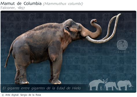 Mastodonte Y Mamut