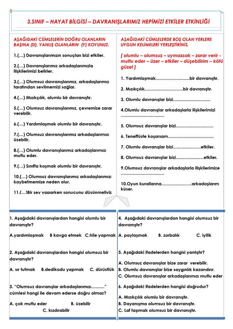 S N F Hayat Bilgisi Davran Lar M Z Hepimizi Etkiler Etkinli I