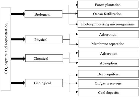 Energies Free Full Text Microalgal Carbon Dioxide Co Capture And