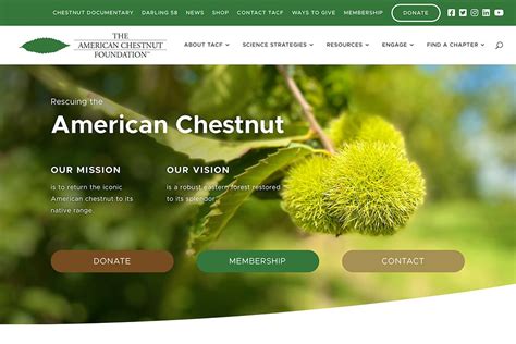 The American Chestnut Foundation – Naturalist Studio