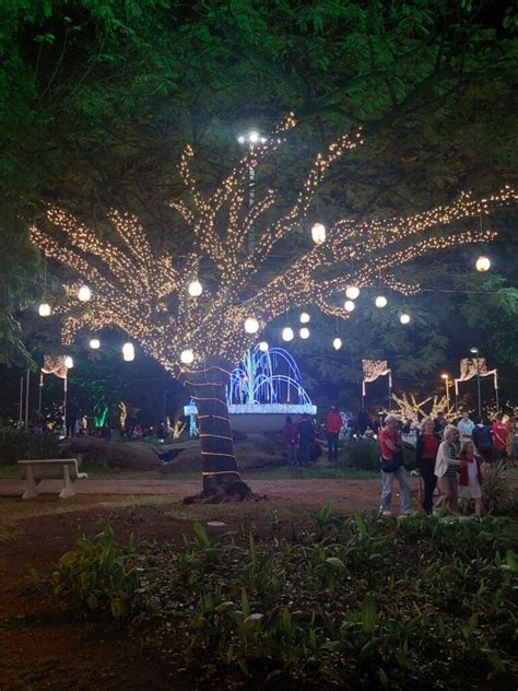 Acendimento das luzes na Praça Dr Augusto marca a abertura da