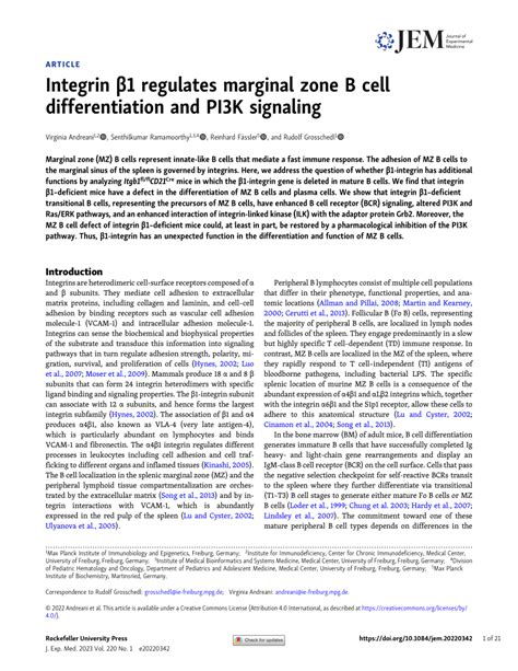 PDF Integrin β1 regulates marginal zone B cell differentiation and