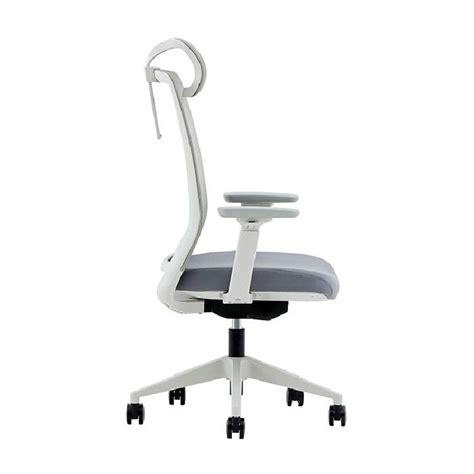 Office Chair with Adjustable Arms, Adjustable Arms Office Chair - WEWORTH