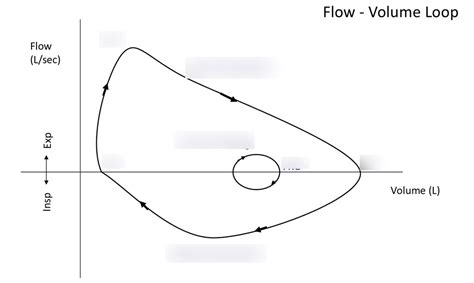 IRM Week 8 Flow Volume Loop 2 Diagram Quizlet