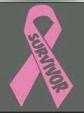 Find Survivor Ribbon Breast Cancer Cure Vinyl Decal Window Sticker In