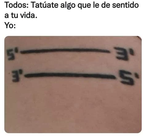 Todos Tatúate algo que le de sentido a tu vida Yo Memes