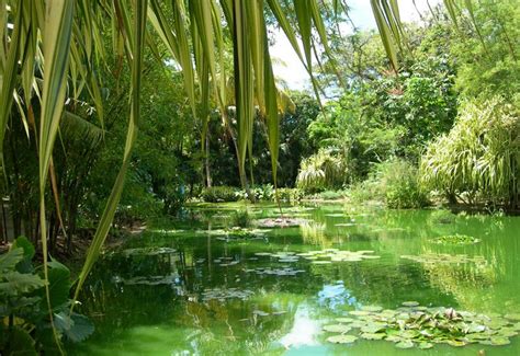 Botanical Garden - Deshaies - Guadeloupe Tourism