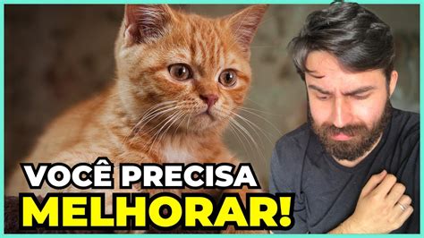 15 Sinais Que Seu Gato NÃO É FELIZ YouTube