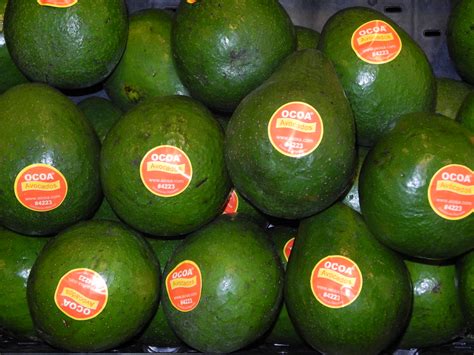 Los Aguacates De Ocoa Dando Pela En Walmart Y Publix Flickr