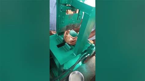 Coconut Cutting Machine Youtube