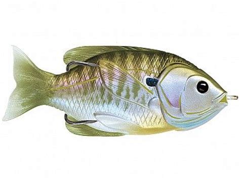 Livetarget Hollow Body Sunfish Fish Pet Fish Bluegill