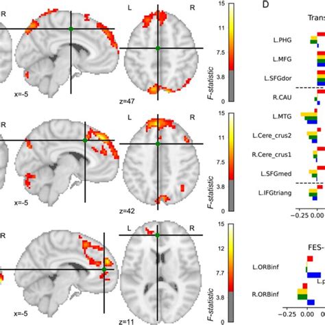 Connectivity Patterns Of Three Left Acc Subregions Across The Four Download Scientific Diagram