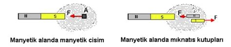 Manyetik Alan Nedir D Nyan N Manyetik Alan