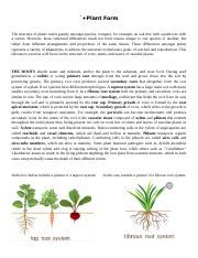 Lab Excercise Plant Form Doc Plant Form The Structure Of Plants