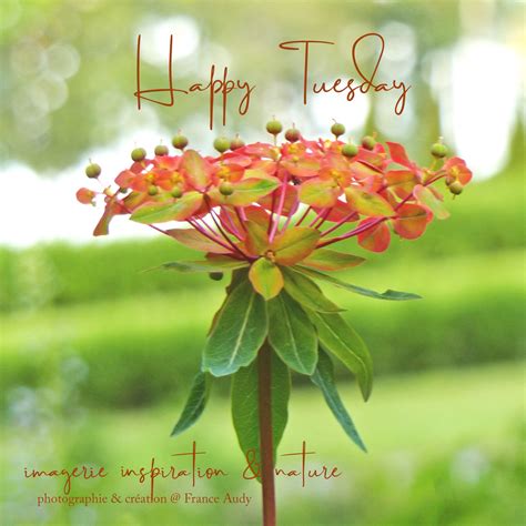 Wellness bloggers praise inspire positive soul sensations for its impact 4