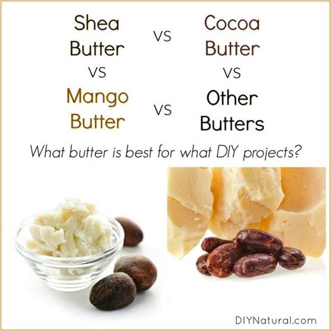 Shea Butter Vs Cocoa Butter Vs Mango Butter Which Is Best And Why