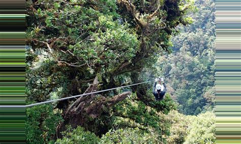 Monteverde Sky Tram & Sky Trek Monteverde - Costa Rica