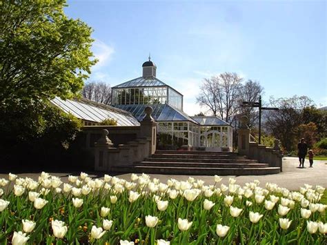 Top 4 things to do in Dunedin Botanic Garden