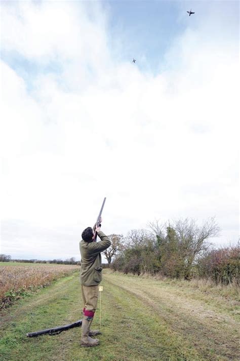 Pheasant Shooting At Hill Farm Warwickshire Shootinguk Shootinguk