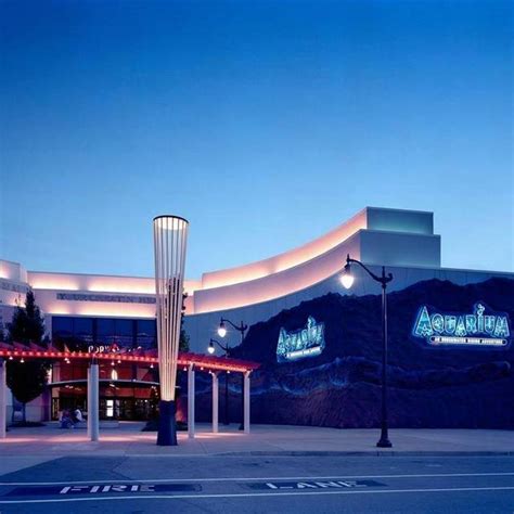 Aquarium Restaurant - Opry Mills - Nashville, TN | OpenTable