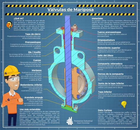 Las Válvulas de Mariposa Formación Industrial