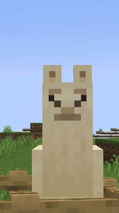 Busted Can Llamas Really Spit 15 Blocks In Minecraft 😲 Shorts Youtube