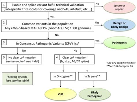 Cancers Free Full Text Standardization Of Somatic Variant Classifications In Solid And