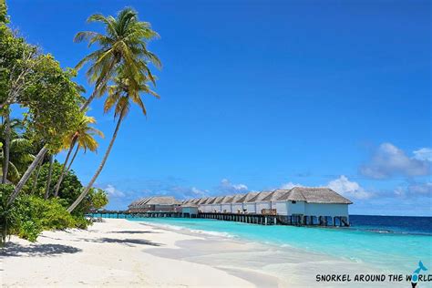 Dreamland Maldives Snorkeling Tips and Resort Information