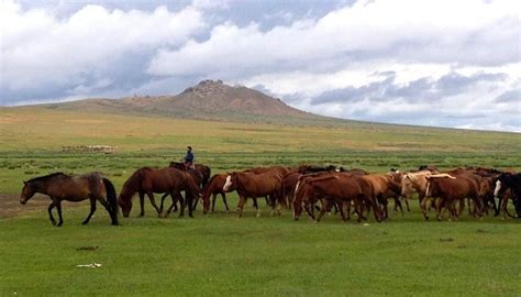 21st Century Nomads: Life In The Mongolian Steppe