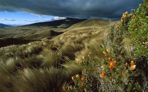 Ecuador Wallpapers Wallpaper Cave