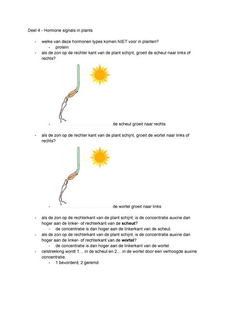 Ontwikkelingsbiologie Vragen 4 Deel 4 Hormone Signals In Plants