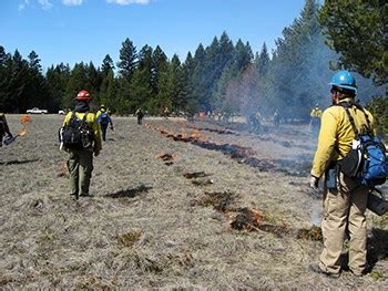 Wildland Fire Ecology Resource Brief (U.S. National Park Service)