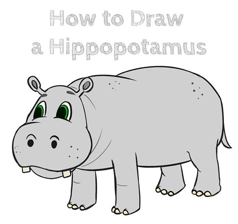 How to Draw a Cartoon Hippopotamus - How to Draw Easy