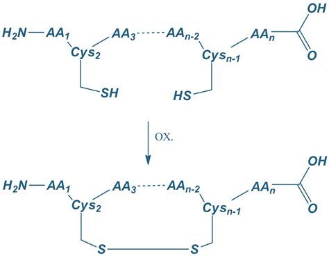 Peptide Synthesis Cyclic Peptides