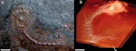 These Fossils Are 2 Billion Years Old Business Insider