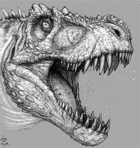 Tyrannosauridae T Rex And The World Of The Tyrannosaurs Wiki Fandom