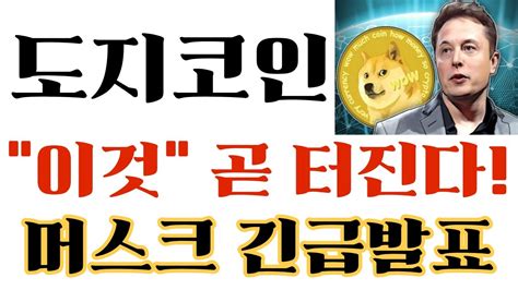 도지코인 이것 곧 터진다 3000 단독공개 일론 머스크 긴급발표 도지코인목표가 도지코인전망 도지코인