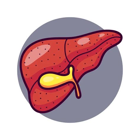 100000 Liver Cancer Vector Images Depositphotos