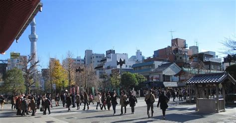 地道なことが苦手なのは遺伝子のなせる技か？｜櫻井みけ子久美